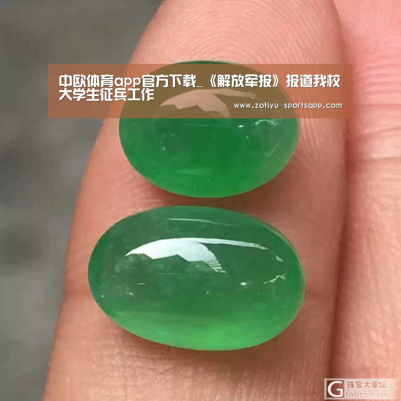 中欧体育app官方下载_《解放军报》报道我校大学生征兵工作(图1) 中欧体育官网登录入口