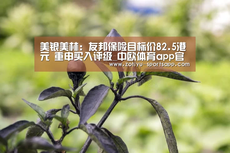 美银美林:友邦保险目标价82.5港元 重申买入评级_中欧体育app官方下载(图1) 中欧体育官网登录入口
