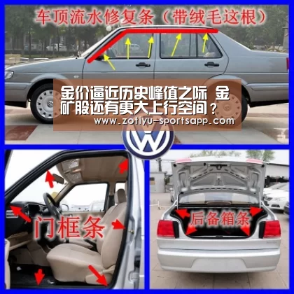 金价逼近历史峰值之际 金矿股还有更大上行空间?‘中欧体育官网登录入口’(图3) 中欧体育app官方下载