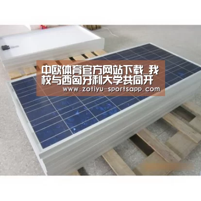 中欧体育官方网站下载_我校与西匈牙利大学共同开展“改性木材的产品开发”研究(图1) 中欧体育官网登录入口