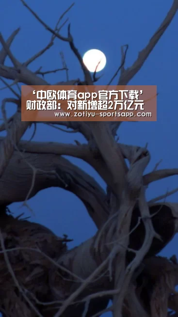 ‘中欧体育app官方下载’财政部:对新增超2万亿元中央财政直达资金强化监管(图1) 中欧体育app官方下载