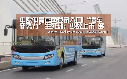 中欧体育app官方下载