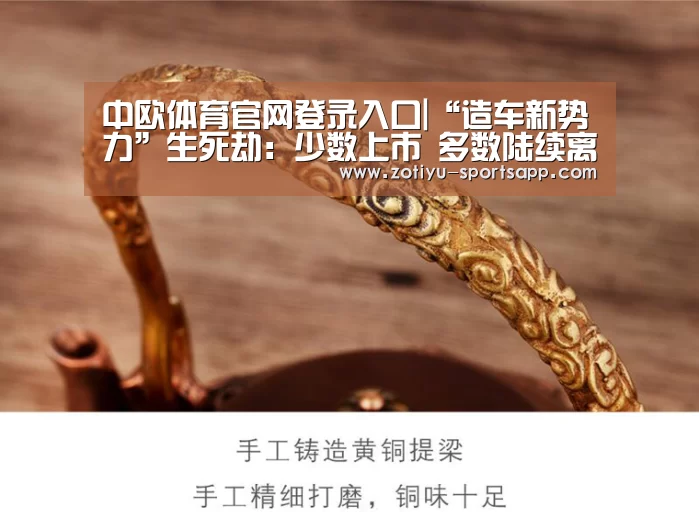 中欧体育官网登录入口
