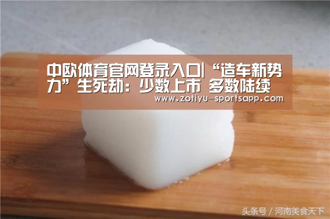 中欧体育官方网站下载
