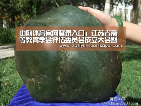 中欧体育官网登录入口:江苏省高等教育学会评估委员会成立大会暨首届江苏高等教育质量保障与评价高峰论坛在我校举行(图1) 中欧体育app官方下载