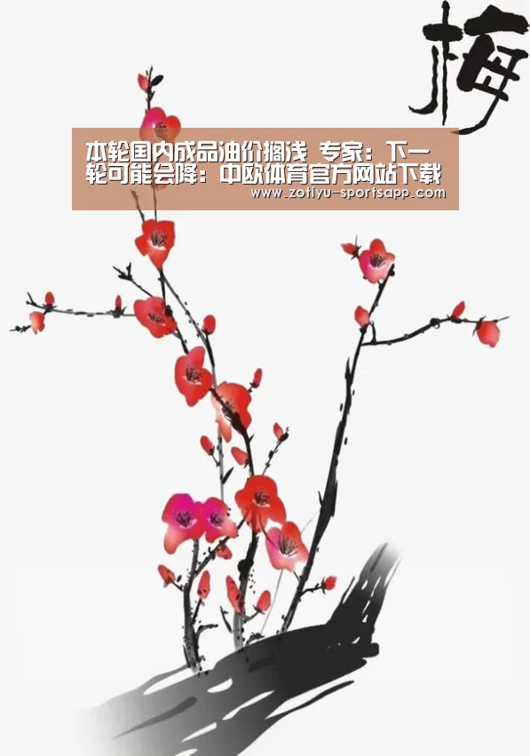 本轮国内成品油价搁浅 专家:下一轮可能会降:中欧体育官方网站下载(图4) 中欧体育官方网站下载