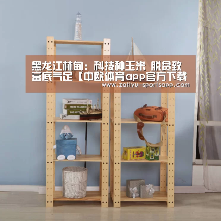黑龙江林甸:科技种玉米 脱贫致富底气足【中欧体育app官方下载】(图1) 中欧体育app官方下载