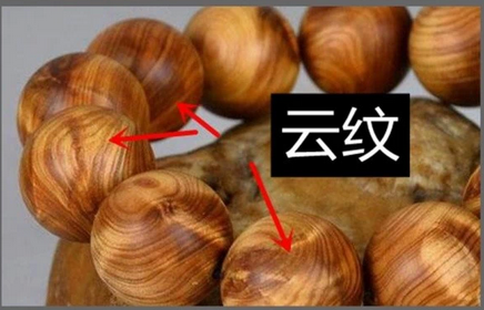 【中欧体育官方网站最新版】“地球之癌”怎么治?(图2) 中欧体育官方网站最新版